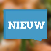 Nieuwe artikelen